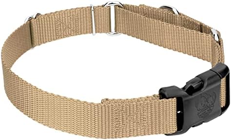 Martingale Dog Collar - Heavy Duty Nylon Adjustable Martingale Dog Collar with Plastic Buckle for Small Medium Large Breeds - 30+ Colors (1 Inch, Extra Large, Copper Gold)