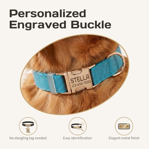 Custom Dog Collar with Name and Phone Number