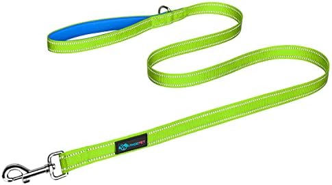 PHOEPET 5 Feet Dog Leash - Dual-Side Reflective - Soft Padded Handle