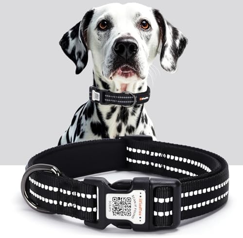 Personalized Dog Collar with QR Code Dog Tag, Black L