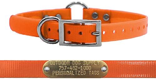 Waterproof D & Center Ring Dog Collar w Custom Name Tag 3/4x15, Orange