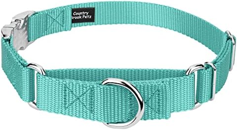 Country Brook Petz - Martingale Dog Collar - Heavy Duty Nylon Adjustable Martingale Dog Collar with Metal Buckle for Small Medium Large Breeds 30+ Color Options (1 Inch, Medium, Light Cyan)