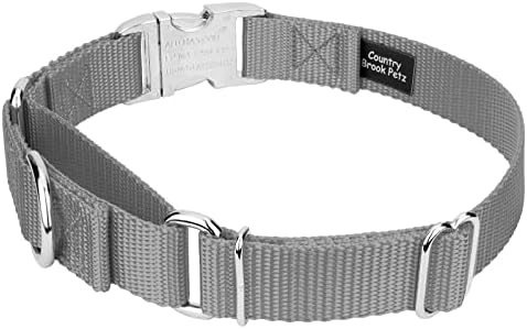Country Brook Petz - Martingale Dog Collar - Heavy Duty Nylon Adjustable Martingale Dog Collar with Metal Buckle for Small Medium Large Breeds - 30+ Color Options (1 Inch, Extra Large, Silver)