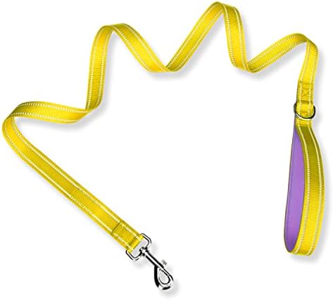 PHOEPET 5 Feet Dog Leash - Dual-Side Reflective - Soft Padded Handle