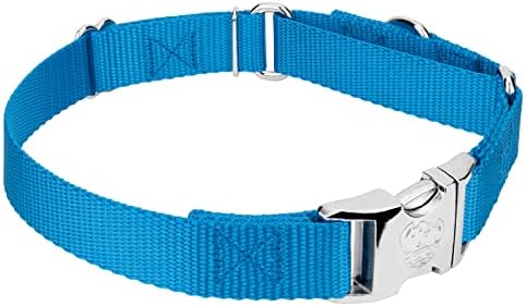 Country Brook Petz - Martingale Dog Collar - Heavy Duty Nylon Adjustable Martingale Dog Collar with Metal Buckle for Small Medium Large Breeds - 30+ Color Options (1 Inch, Medium, Ice Blue)