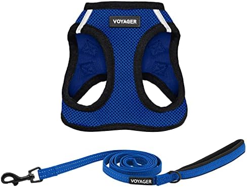 Best Pet Supplies Voyager Step-in Air All Weather Mesh Harness and Reflective Dog 5ft Leash Combo with Neoprene Handle, for Small, Medium and Large Breed Puppies - Royal Blue/Black Trim, Large