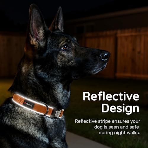 Personalized Dog Collar with QR Code Dog Tag, Oxford Orange S