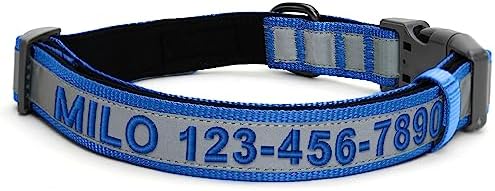 Pawtitas Personalized Reflective Padded Dog Collar with Name Phone Number - Adjustable, Customized for Large Dogs - Blue