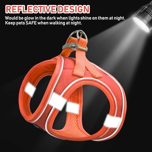 GAMUDA Small Pet Harness Collar and Leash Set, Step in No Chock No Pull Linen Fabric Soft Mesh Dog Vest Harnesses Reflective for Dogs Puppy Cats Kitten Rabbit (Orange, XL)