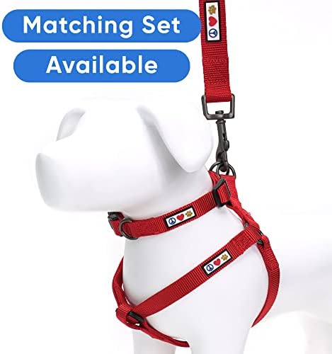 Pawtitas Solid 6 ft Red Dog Leash XXS/Cat Custom Name and Phone Embroidery Strong Nylon Leash for Small Breeds