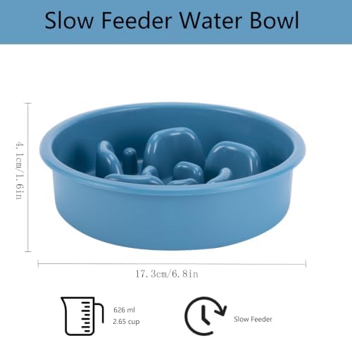 MateeyLife Slow Feeder Dog Bowl and Stainless Steel Water Bowl