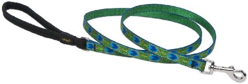 LupinePet Originals 1/2" Tail Feathers 6-foot Padded Handle Leash for Small Pets