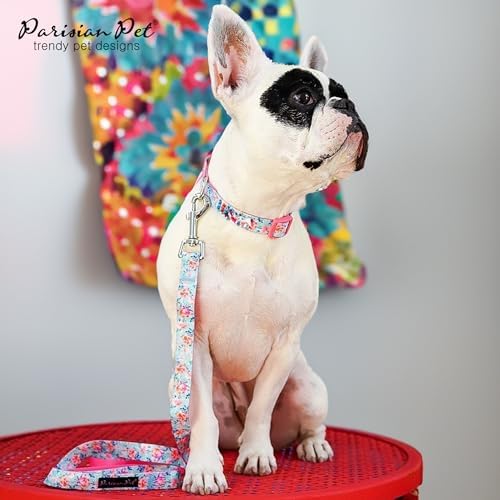 Parisian Pet Floral Dog Collar - Adjustable Spring Blossoms Girl Pet Collar with Secure Buckle and Metal D-Ring - Comfortable Designer Puppy Collars - Durable Nylon Dog Collars for Small Dogs