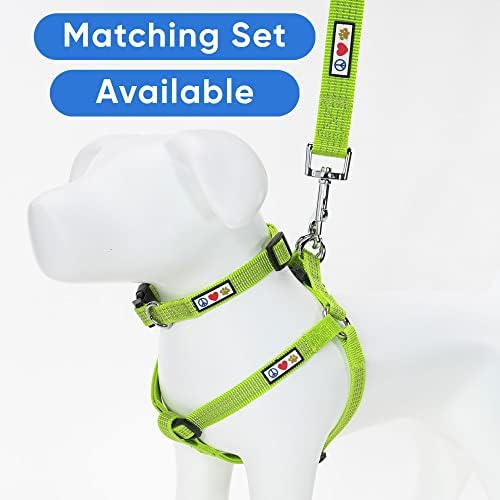 Pawtitas Green Dog Leash 6 ft M/L Reflective Durable Lightweight Dog Lead for Medium or Large Dogs and Puppies