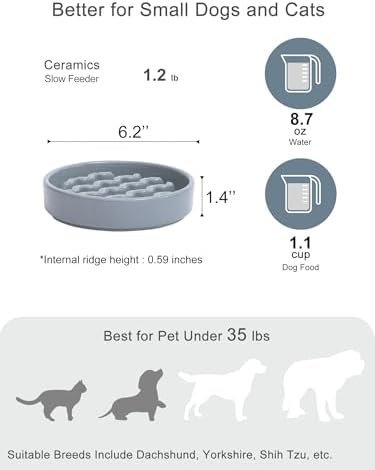 Ceramic Slow Feeder Dog Bowl, Ice Blue, Small