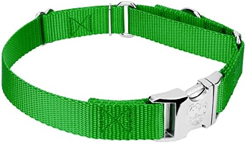 Country Brook Petz - Martingale Dog Collar - Heavy Duty Nylon Adjustable Martingale Dog Collar with Metal Buckle for Small Medium Large Breeds 30+ Color Options (1 Inch, Medium, Hot Lime Green)