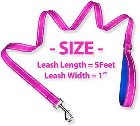 PHOEPET 5 Feet Dog Leash - Dual-Side Reflective - Soft Padded Handle