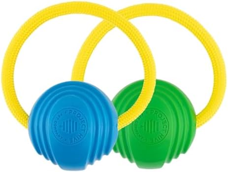 Project Hive Zoomer Stick | Dog Ball Thrower with Set of 2 Looped Dog Balls Included (Green and Blue) | Interactive Dog Toys for Both Land and Water | Balls for Dogs Perfect for Fetch and Tug Play