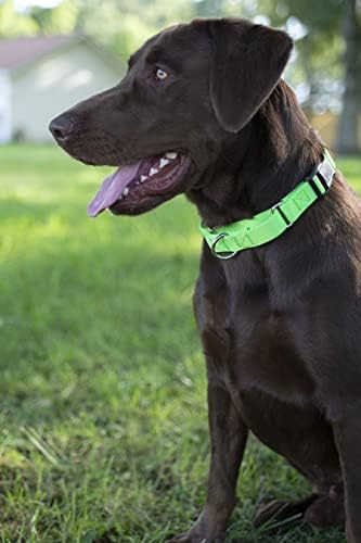 Martingale Dog Collar - Heavy Duty Nylon Adjustable Martingale Dog Collar with Plastic Buckle for Small Medium Large Breeds - 30+ Colors (1 Inch, Medium, Hot Lime Green)