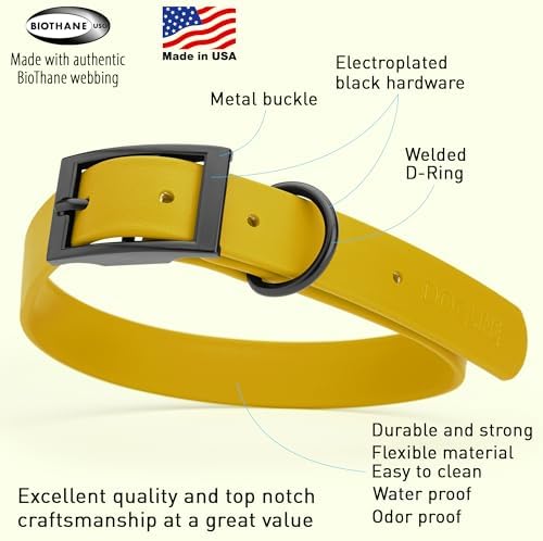 Dogline Biothane Waterproof Dog Collar Strong Coated Nylon Webbing with Black Hardware Odor- Proof for Easy Care Easy to Clean High Performance Fits Small Medium or Large Dogs, Treasure Gold