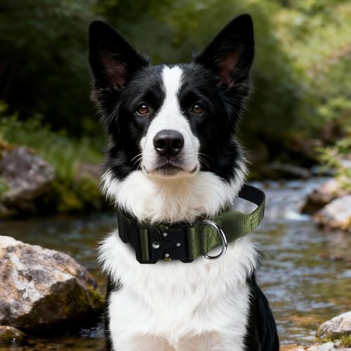 Tactical Dog Collar with Handle,Army Green L