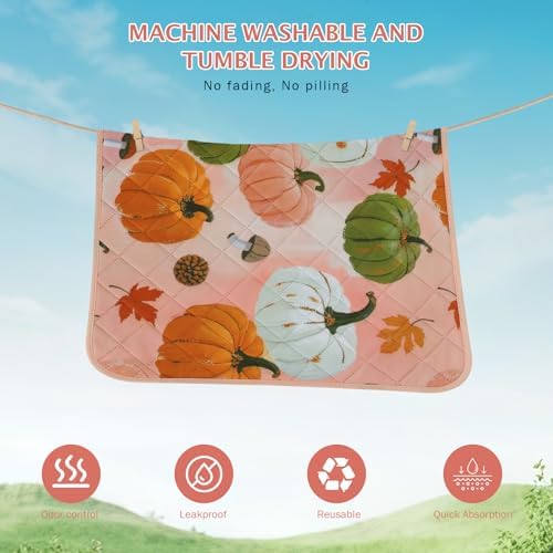 IEUUMLER Washable Pee Pads for Dogs, 2 Pack Pumpkin Pattern Reusable Waterproof Puppy Potty Pads, Non-Slip Absorbent Pet Training Pads for Playpen Crate Bed EU016 Pink Pumpkin, 30x20