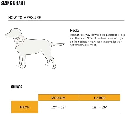 Carhartt Field Nylon Dog Collar Harbor Teal Medium