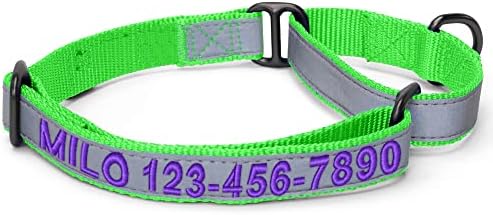 Pawtitas Customized Martingale Dog Collar Reflective Reflective Dog Collar Embroidered Personalized Name Phone Number Adjustable for Puppies Small Medium Large Size Dogs Medium Green
