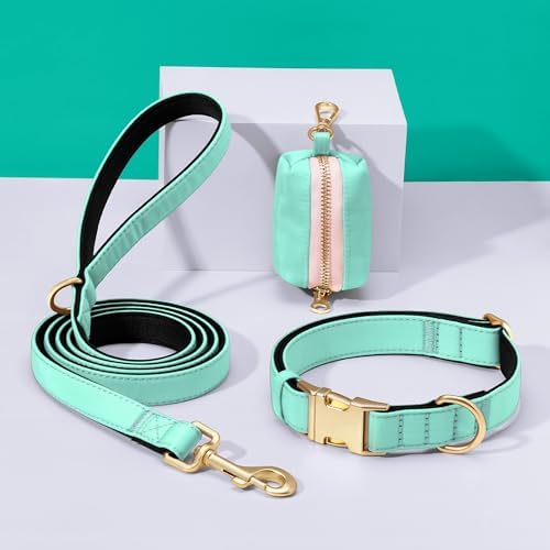 Didog Soft Padded Dog Collar for Small Dogs, Teal, S Neck 10-15"
