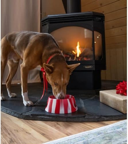 Silipint: Aqua-Fur Silicone Dog Bowl: Peppermint- 18oz Colapsible/Foldable, Lightweight, Feed & Water Dish, Pet Travel Pack of 1