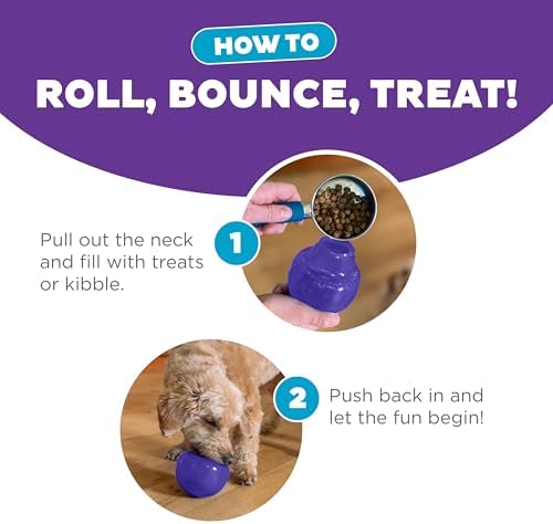 Outward Hound Lil' Snoop Interactive Treat Dispensing Dog Toy, Purple, 3.9"