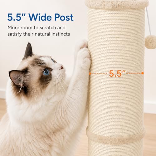 Cat Scratching Post with 5.5 Inch Diameter Sisal Post, 32 Inch, Beige
