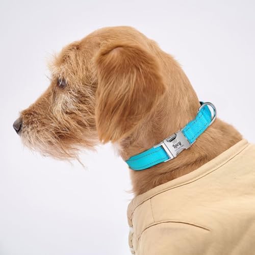 Silent Dog Collar Personalized with Name Phone Number Laser Engraved