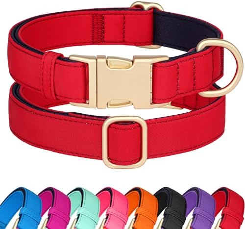 Didog Soft Padded Dog Collar for Small Dogs, Red, S Neck 10-15"