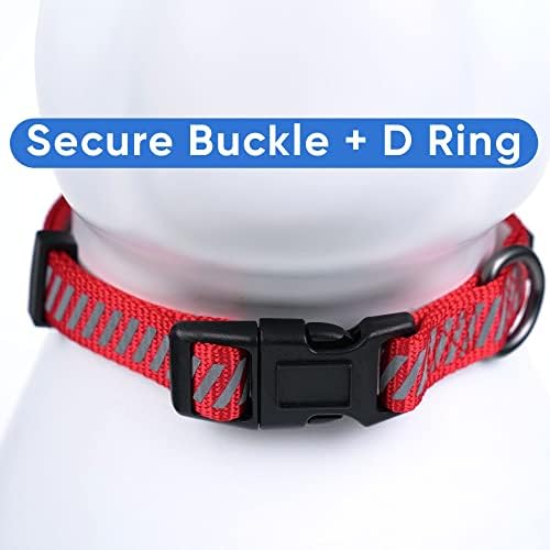 Pawtitas Reflective Dog Collar - Personalized Name & Phone Number, Adjustable for Extra Small Dogs & Puppies - Red