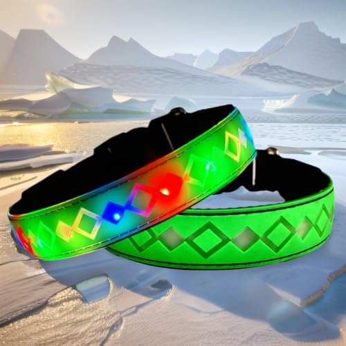 Personalized Flashing Dog Collar with Laser Engraved ID Tag