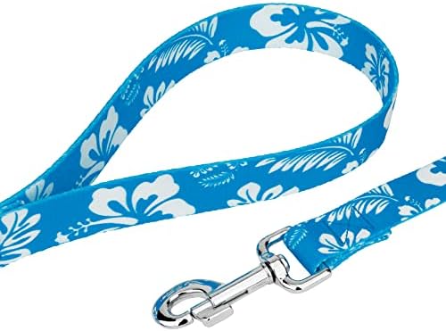 Country Brook Petz - Blue Hawaiian Everyday Dog Leash - Summer Breeze Collection Featuring Sunny Designs (4 Foot, 1 Inch Wide)