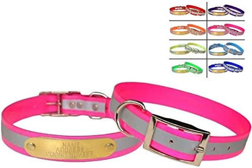 Reflective Dayglo Dog Collar Free Engraved Brass ID tag USA (Pink 25")