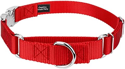 Country Brook Petz - Martingale Dog Collar - Heavy Duty Nylon Adjustable Martingale Dog Collar with Metal Buckle for Small Medium Large Breeds - 30+ Color Options (1 Inch, Medium, Bright Red)