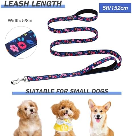 Hikiko 5FT Dog Leash Padded Double Handle with Designed Pattern