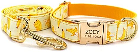 Custom Dog Collar with Names and Phone Number Engraved, Puppy Tags Personalized for Small Medium Large Pets