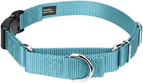 Martingale Dog Collar - Heavy Duty Nylon Adjustable Martingale Dog Collar with Plastic Buckle for Small Medium Large Breeds - 30+ Colors (1 Inch, Medium, Ocean Blue)