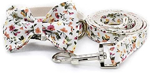 Custom Dog Collar with Names and Phone Number Engraved, Puppy Tags Personalized for Small Medium Large Pets