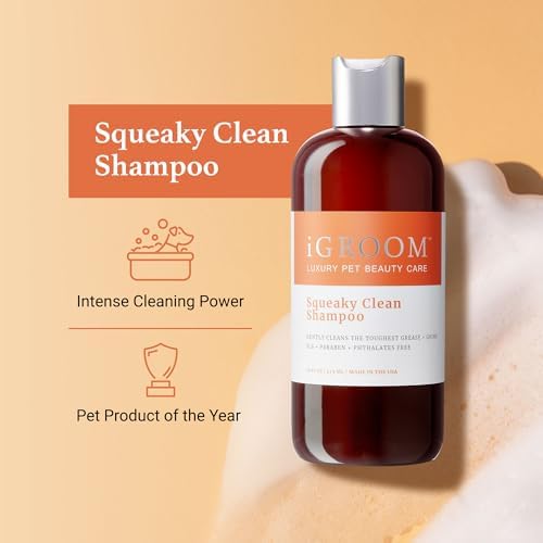 iGroom Squeaky Clean Dog Shampoo, Luxury Pet Beauty Care, Intense Cleaning Power, Chamomile Extracts Sooth Skin, Made in USA (1 GAL) (Pack of 2)