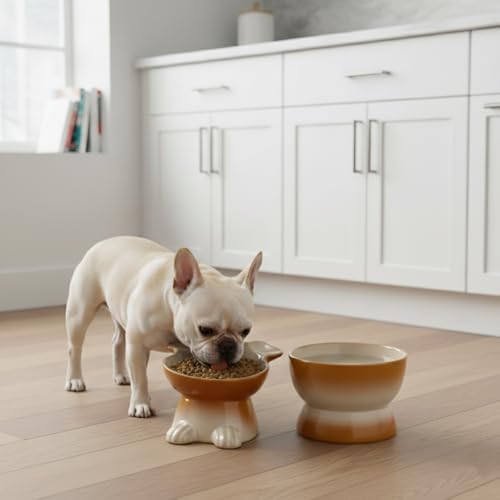 Nihow Dog Food & Water Bowls: Elevated Ceramic Bowls for Medium/Small Dog