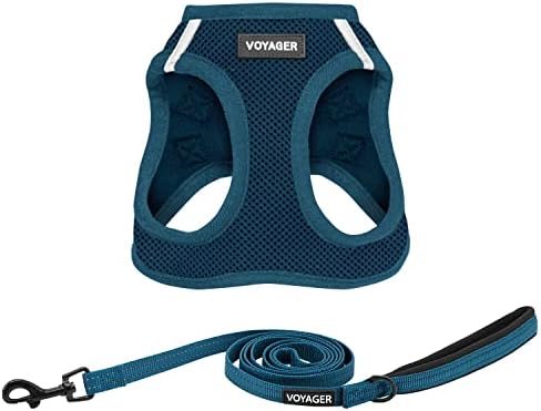 Best Pet Supplies Voyager Step-in Air All Weather Mesh Harness and Reflective Dog 5ft Leash Combo with Neoprene Handle, for Small, Medium and Large Breed Puppies - Blue, Small