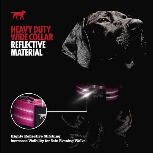 Tuff Pupper Heavy Duty Tactical Dog Collar | 1.25" Wide Ballistic Nylon | Reflective Stitching | Integrated ID Tag Holder | Stainless Steel Buckle | Padded Lining | Small & Medium Dogs (Pink, Small)