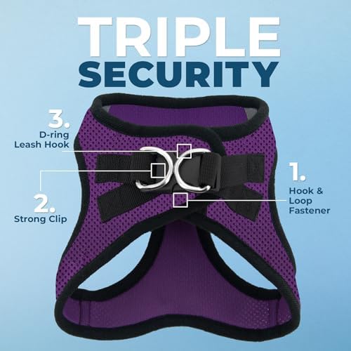 Best Pet Supplies Voyager Step-in Air Harness - All Weather Mesh, Reflective, No Pull Harness for Dogs, Cats - Secure with Hook & Loop Fastener, Buckle, Double D-Rings - Purple/Black Trim, XS