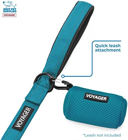 Best Pet Supplies Dog Poop Bag Holder Leash Attachment with Reusable Dispenser for Travel, Walking, Park, and Outdoor Use, Durable with Clip-On - Turquoise, Pack of 2, Mesh Dispenser w/30 Bags