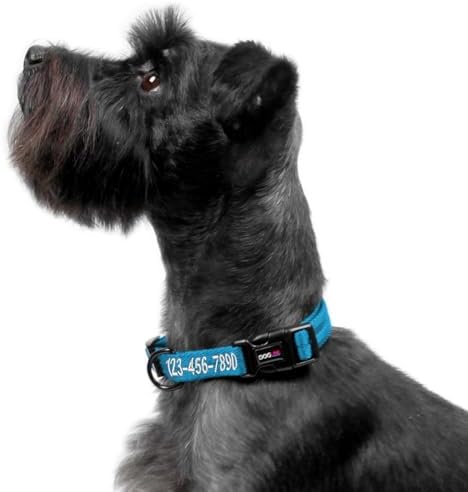 Dogline Cyan Blue Customizable Personalized Nylon Collar (W: 5/8" L:11"-16")